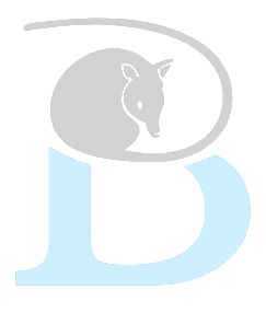 Bandicoot Clothing logo